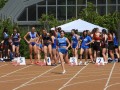 2025-04-26-Meeting-Primavera-Ovada-21