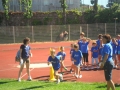 SAM_2379