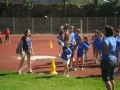 SAM_2381