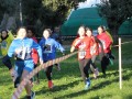 IMG-20230130-WA0060