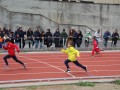 IMG_7919