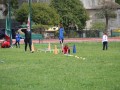 IMG_7931