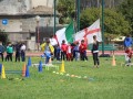 IMG_7978