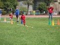 IMG_7979