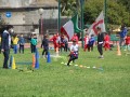 IMG_7981