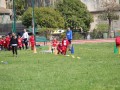IMG_7997