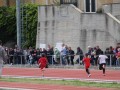 IMG_8016