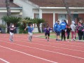 Resize_295