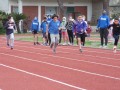 Resize_299