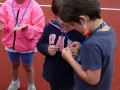 Resize_383