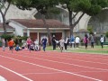 Resize_487