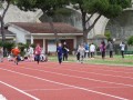 Resize_488