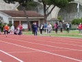 Resize_489