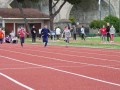 Resize_490