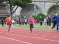 Resize_495