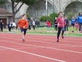 Resize_496