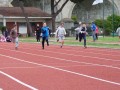 Resize_508