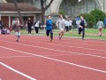 Resize_509