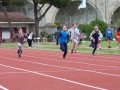 Resize_510