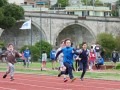 Resize_512