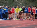 2025-03-29-Meeting-Primavera-Boissano-255