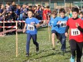 2020-03-04-Calvari-CdS-Provinciali-cross-31