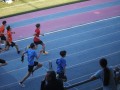 IMG_0262
