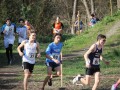 IMG-20250216-WA0034