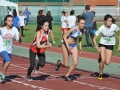 CAMPIONATI PROVINCIALI PER SQUADRE COGOLETO UNIVERSALE DON BOSCO