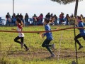 IMG_20240116_212108_128