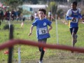 IMG_20240116_212130_272