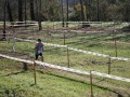 IMG-20221219-WA0040