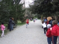 DSCF5796