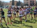 Gubbio-2023-15