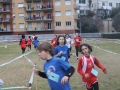 IMG_0961
