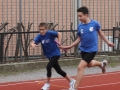SAM_6191